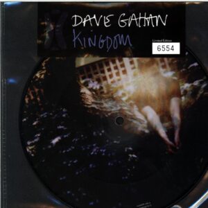 Dave Gahan-Kingdom-7 Vinyl picture disc