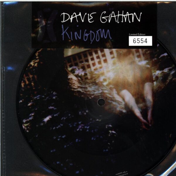 Dave Gahan-Kingdom-7 Vinyl picture disc