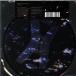 Dave Gahan-Kingdom-7 Vinyl picture disc