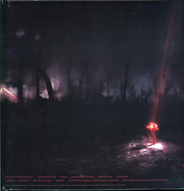 Enter Shikari-A Kiss For The Whole World pink-LP Vinyl