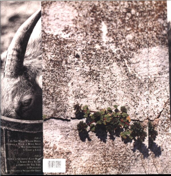 Nathan Gray-Feral Hymns-LP Vinyl