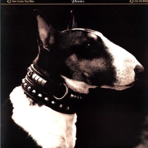Pixies-Here Comes Your Man-12 Vinyl