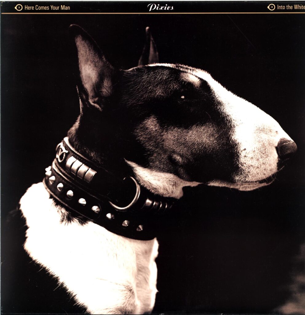 Pixies-Here Comes Your Man-12 Vinyl