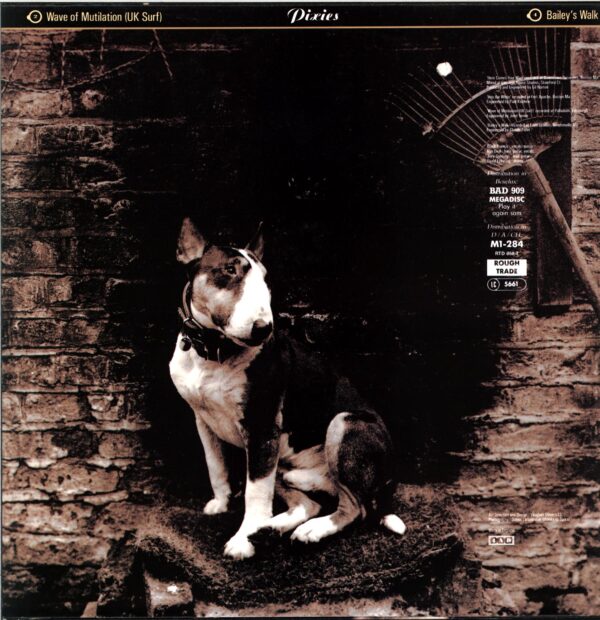 Pixies-Here Comes Your Man-12 Vinyl