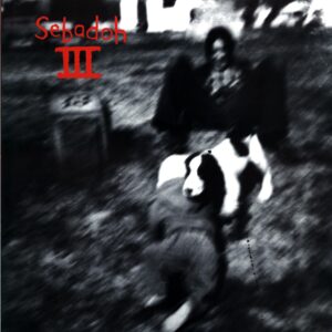 Sebadoh-III-LP Vinyl