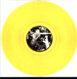 Youth Of Today-We're Not In This Alone-LP Vinyl yellow