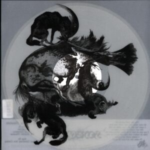 Horseback-The Invisible Mountain clear-LP Vinyl