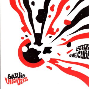 Liquid Visions-From The Cube-LP Vinyl