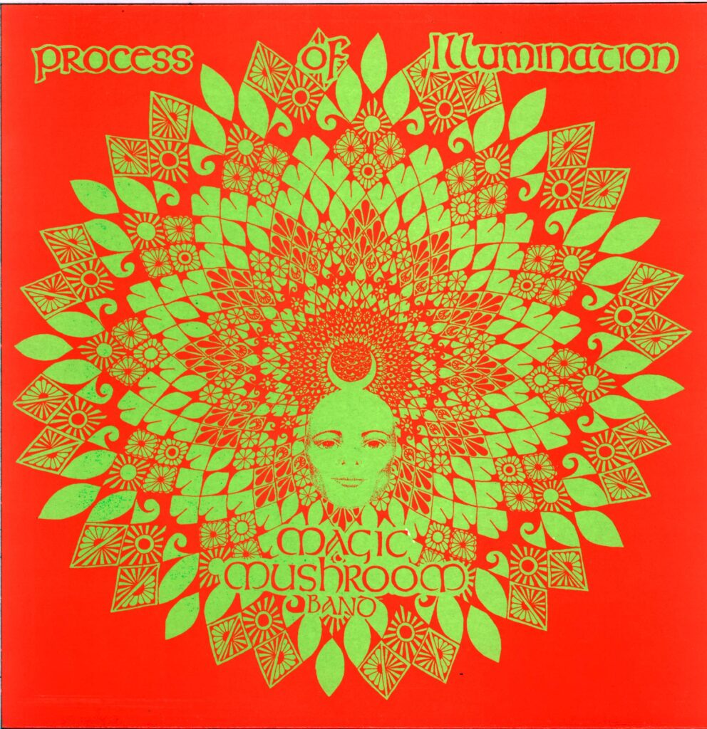 Magic Mushroom Band-Process Of Illumination-LP Vinyl