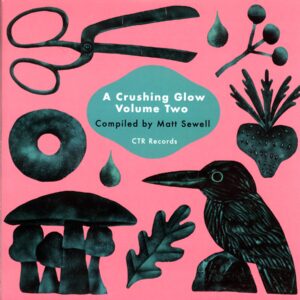 Matt Sewell-A Crushing Glow Volume 2 - Compiled By Matt Sewell -LP Vinyl