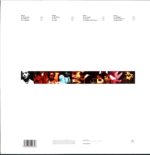 Nitin Sawhney-Beyond Skin-LP Vinyl
