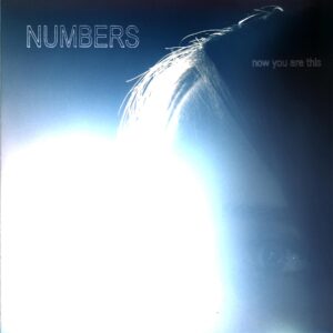 Numbers-Now You Are This-LP Vinyl