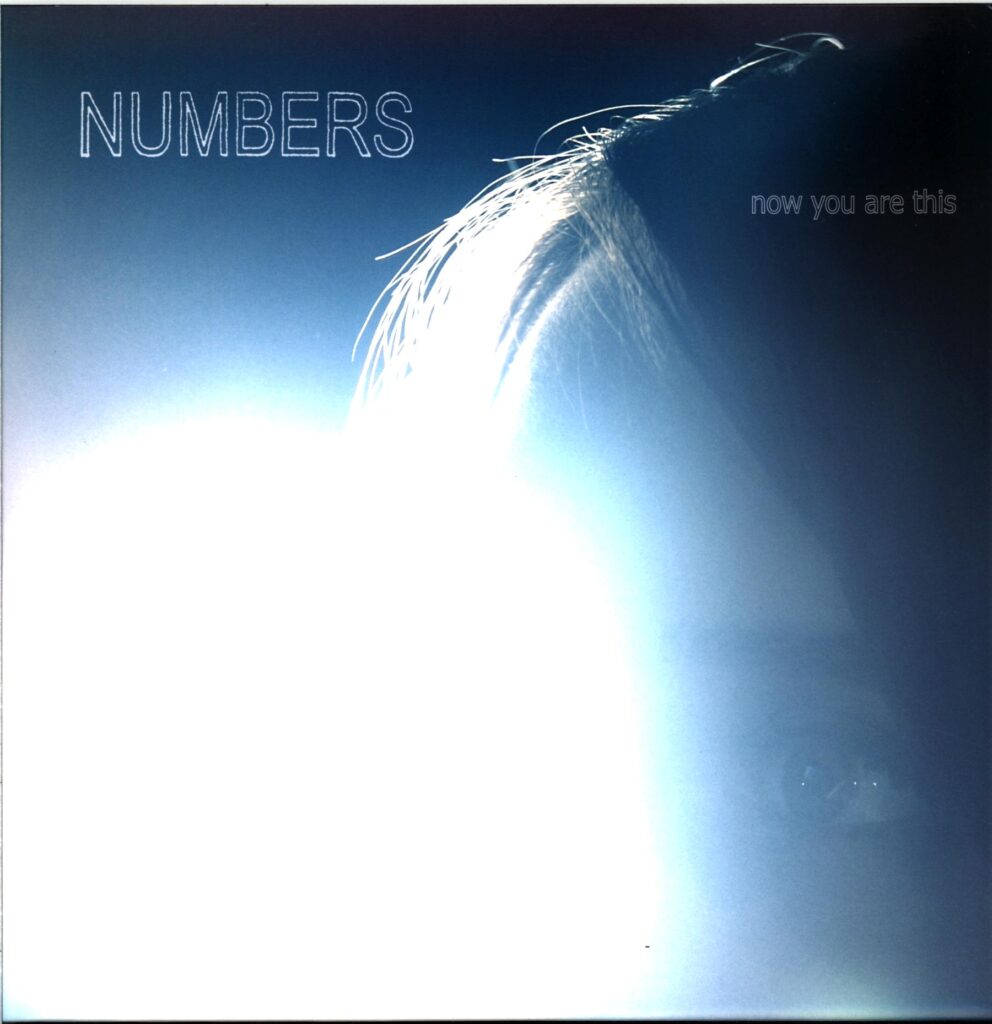 Numbers-Now You Are This-LP Vinyl