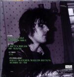 Robyn Hitchcock-I Wanna Go Backwards-LP Vinyl