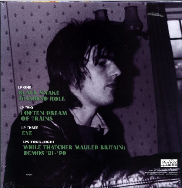Robyn Hitchcock-I Wanna Go Backwards-LP Vinyl