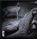 Shearwater-Animal Joy-LP Vinyl