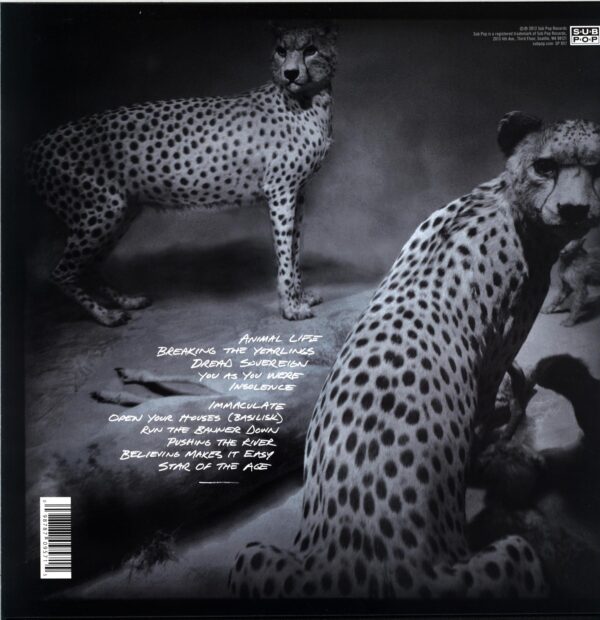 Shearwater-Animal Joy-LP Vinyl