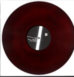 Shitdisco-Kingdom Of Fear.-two colour LP Vinyl