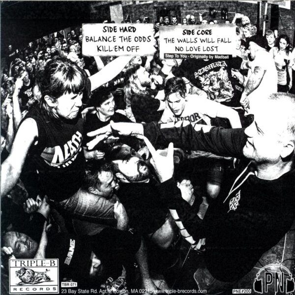 Terror-The Walls Will Fall-7 Vinyl orange