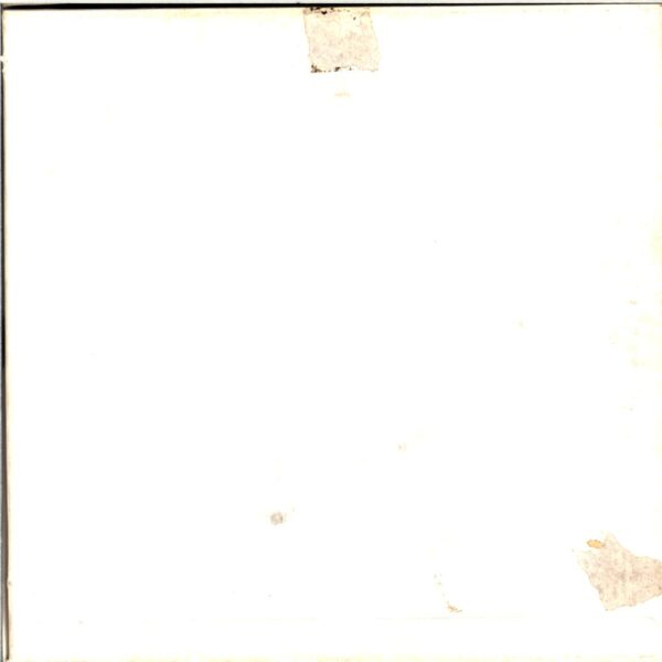 Various-The Estrus Lunch Bucket-3 x 7 Vinyl Box