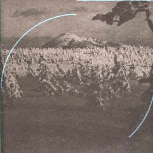 Acid Mothers Temple And The Melting Paraiso UFO-In Search Of The Lost Divine Arc-LP Vinyl