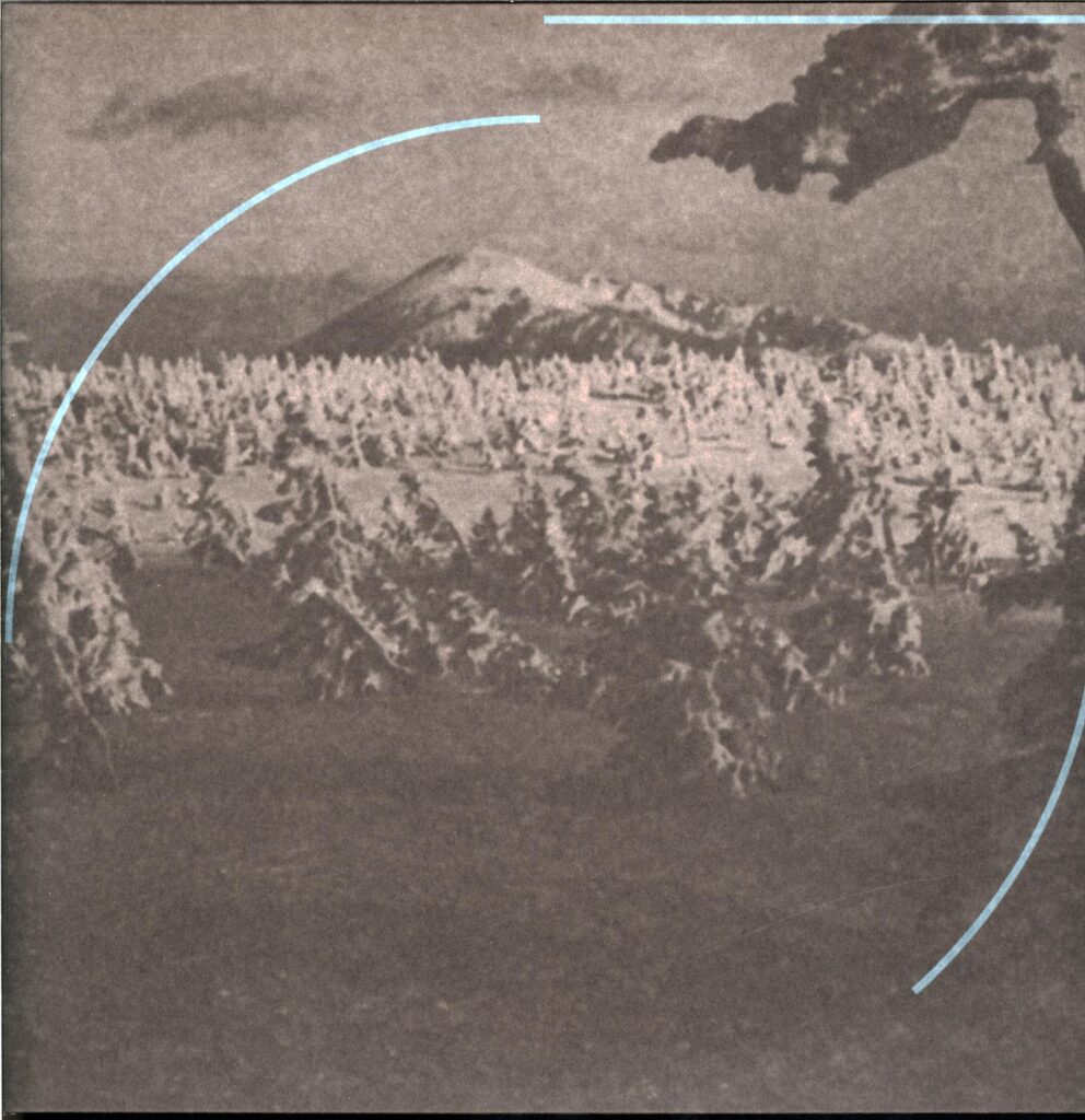 Acid Mothers Temple And The Melting Paraiso UFO-In Search Of The Lost Divine Arc-LP Vinyl