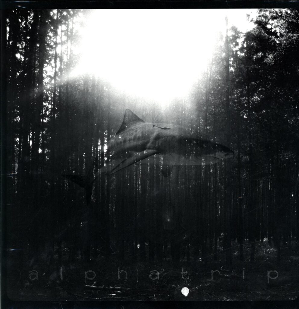 Alphatrip-Alphatrip-LP Vinyl