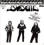 Budgie-If Swallowed Do Not Induce Vomiting-12 Vinyl DE 1980