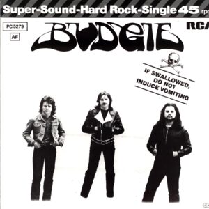 Budgie-If Swallowed Do Not Induce Vomiting-12 Vinyl DE 1980