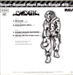 Budgie-If Swallowed Do Not Induce Vomiting-12 Vinyl DE 1980