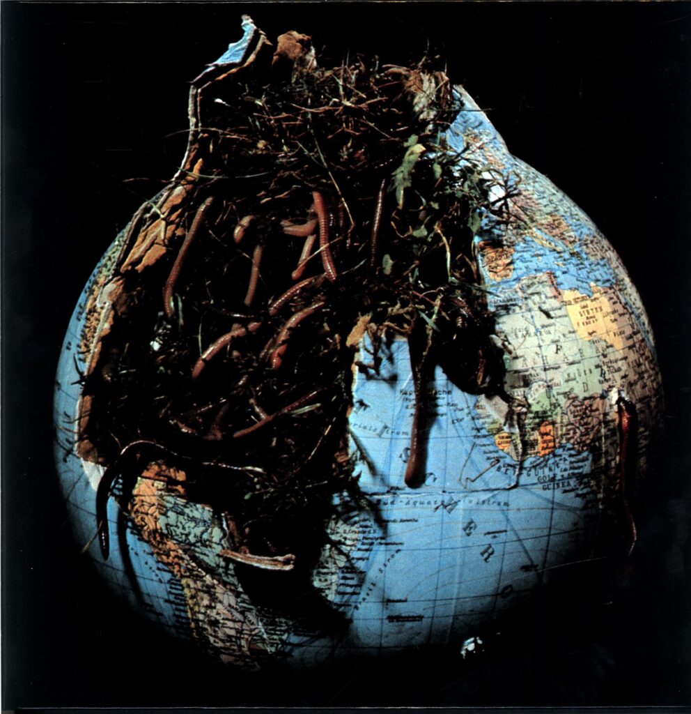 Drosselbart-Drosselbart RE 2015-LP Vinyl