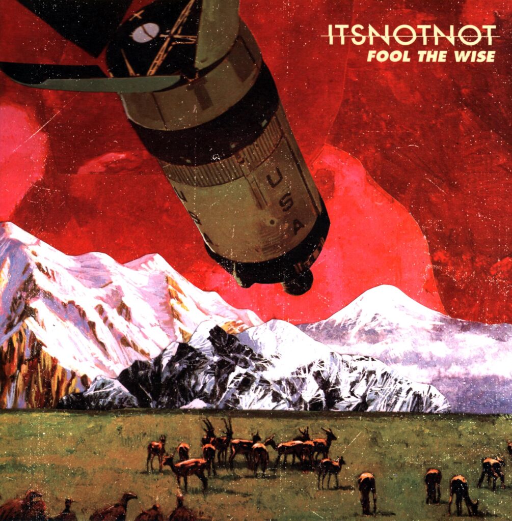 It's Not Not-Fool The Wise white red marbled-LP Vinyl