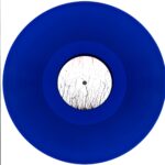 Ivy Garden Of The Desert-I ate of the plant and it was good! blue-12 Vinyl