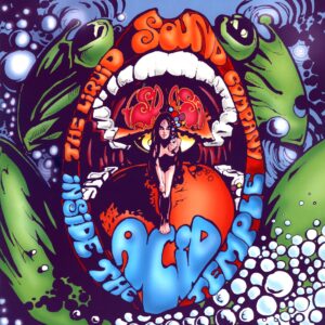 Liquid Sound Company-Inside The Acid Temple-LP Vinyl