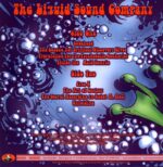 Liquid Sound Company-Inside The Acid Temple-LP Vinyl