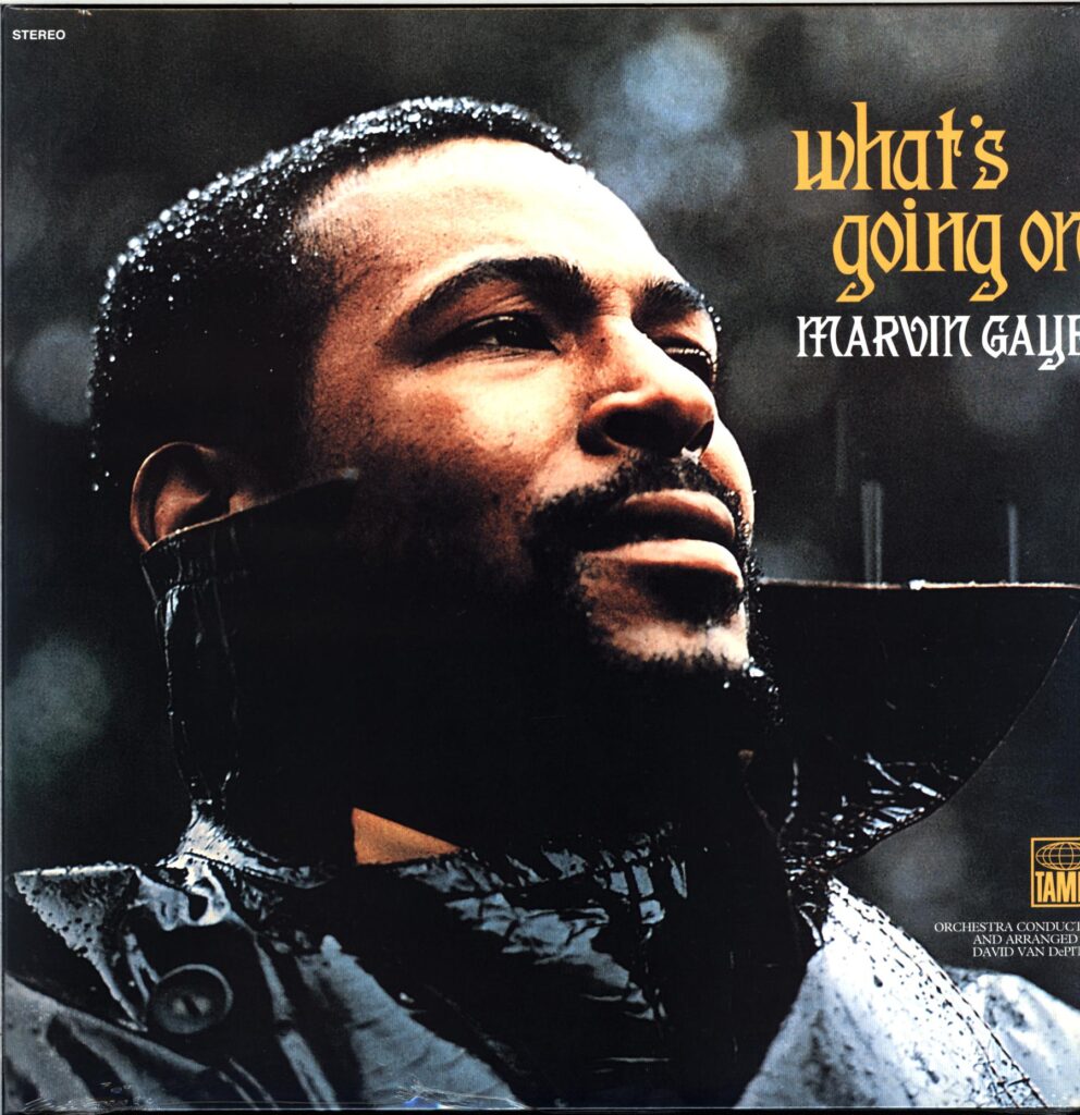 Marvin Gaye-What's Going On-LP Vinyl Reissue