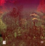 Mugstar-Graft-LP Vinyl