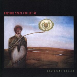 Øresund Space Collective-Chatoyant Breath orange-LP Vinyl