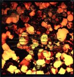 Siena Root-Far From The Sun Reissue 2015-LP Vinyl