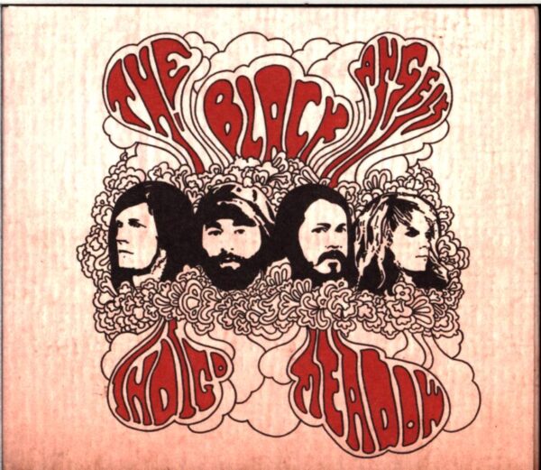 The Black Angels-Indigo Meadow-CD
