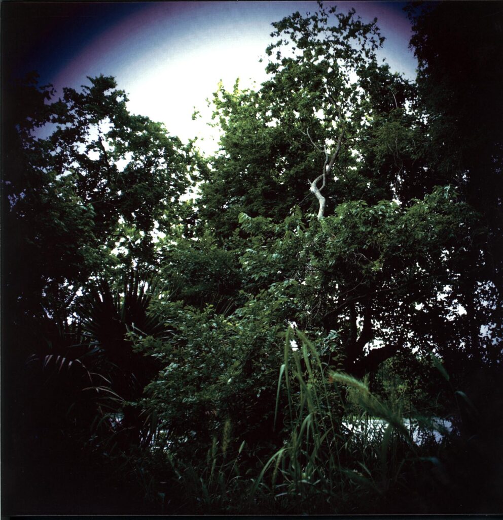 The Roller-Wasted Heritage green-LP Vinyl