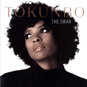 Tokunbo Akinro-The Swan-LP Vinyl
