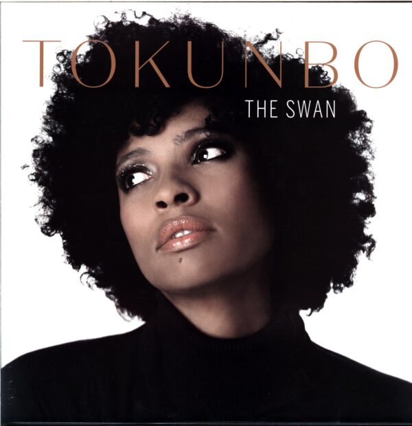 Tokunbo Akinro-The Swan-LP Vinyl