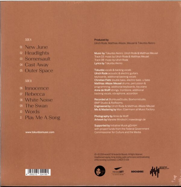 Tokunbo Akinro-The Swan-LP Vinyl