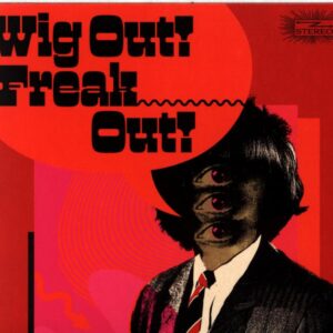 Various-Wig Out Freak Out (Freakbeat and Mod Psychedelia Floor Fillers 1964-1969)-CD