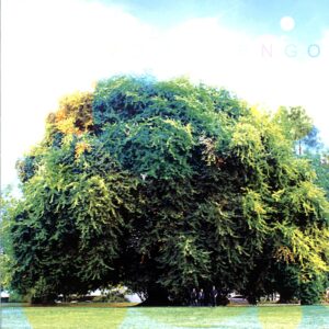 Yo La Tengo-Fade-LP Vinyl