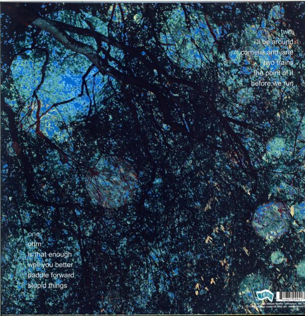 Yo La Tengo-Fade-LP Vinyl