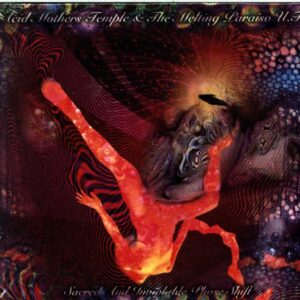 Acid Mothers Temple and The Melting Paraiso UFO-Sacred And Inviolable Phase Shift-CD