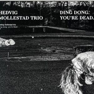 Hedvig Mollestad Trio-Ding Dong. You're Dead.-CD