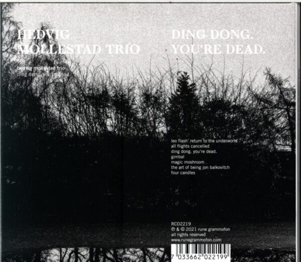 Hedvig Mollestad Trio-Ding Dong. You're Dead.-CD